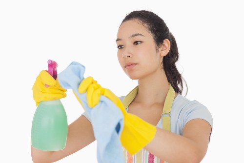 Professional cleaning tools ready for move out cleaning