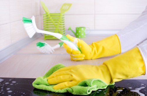 Detailed deep cleaning in a kitchen with appliances and cabinets