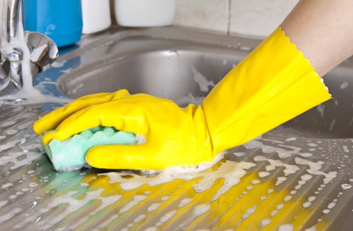 DIY rug cleaning supplies arranged for use