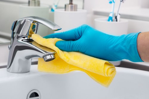 DIY move in cleaning checklist and cleaning tools