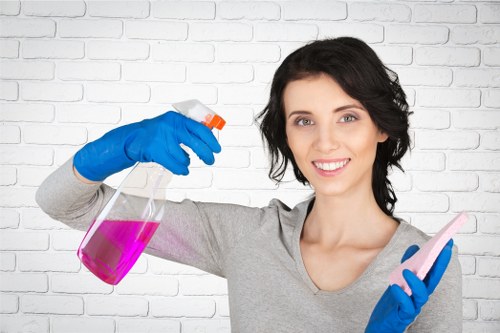 Final move out cleaning preparation in an empty rental home