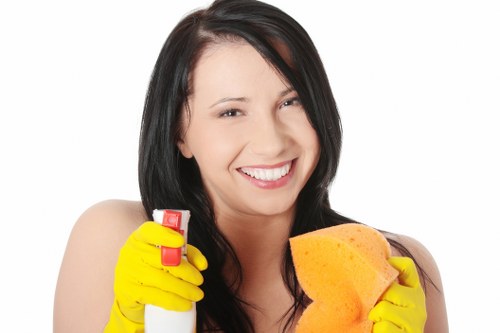 Cleaning products and tools used for deep cleaning in different spaces