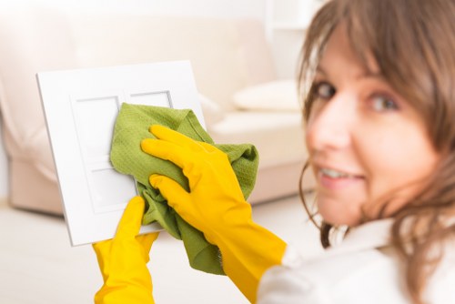 Professional oven cleaning with shiny results